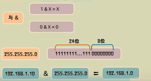 image-20220531113617904