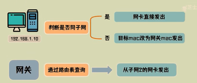 image-20220531115240374